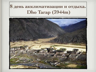 8 день акклиматизации и отдыха.
Dho Tarap (3944m)
 