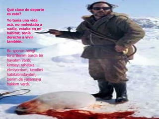 Qué clase de deporte es este? Yo tenía una vida acá, no molestaba a nadie, estaba en mi habitat, tenía derecho a vivir también. Bu sporun hangi türü?Benim burda bir hayatım vardı, kimseyi rahatsız etmiyordum, kendimi habitatımdaydım, benim de yaşamaya hakkım vardı. 