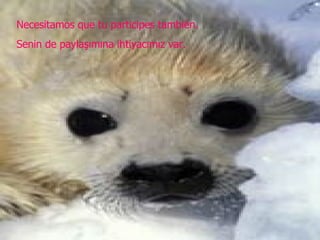 Necesitamos que tu participes también.  Senin de paylaşımına ihtiyacımız var. 