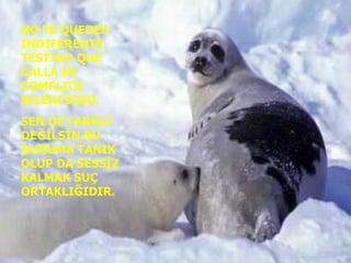 NO TE QUEDES INDIFERENTE. TESTIGO QUE CALLA ES COMPLICE SILENCIOSO. SEN DE FARKLI DEĞİLSİN.BU DURUMA TANIK OLUP DA SESSİZ KALMAK SUÇ ORTAKLIĞIDIR. 