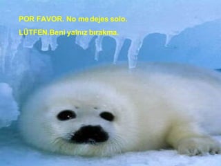 POR FAVOR. No me dejes solo.  LÜTFEN.Beni yalnız bırakma. 