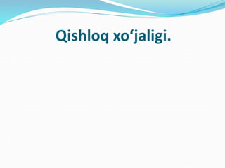 Qishloq xo‘jaligi.
 