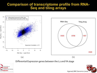 Differential Expression genes between the L2 andYA stage
Agarwal, BMC Genomics (2010)
 