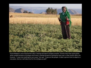 The Re-Birth of the Yewol Watershed  - Integrated Watershed Management in Ethiopia’s Northern Highlands