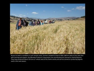 The Re-Birth of the Yewol Watershed  - Integrated Watershed Management in Ethiopia’s Northern Highlands