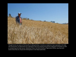 The Re-Birth of the Yewol Watershed  - Integrated Watershed Management in Ethiopia’s Northern Highlands