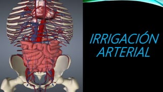 IRRIGACIÓN
ARTERIAL
 