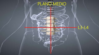 L3-L4
PLANO MEDIO
 