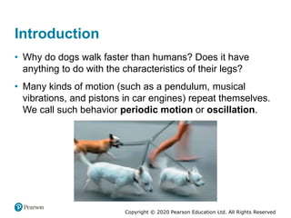 Copyright © 2020 Pearson Education Ltd. All Rights Reserved
Introduction
• Why do dogs walk faster than humans? Does it have
anything to do with the characteristics of their legs?
• Many kinds of motion (such as a pendulum, musical
vibrations, and pistons in car engines) repeat themselves.
We call such behavior periodic motion or oscillation.
 