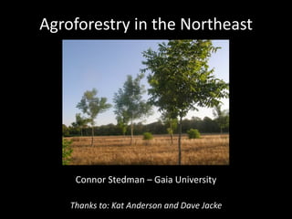 Agroforestry in the Northeast




     Connor Stedman – Gaia University

    Thanks to: Kat Anderson and Dave Jacke
 