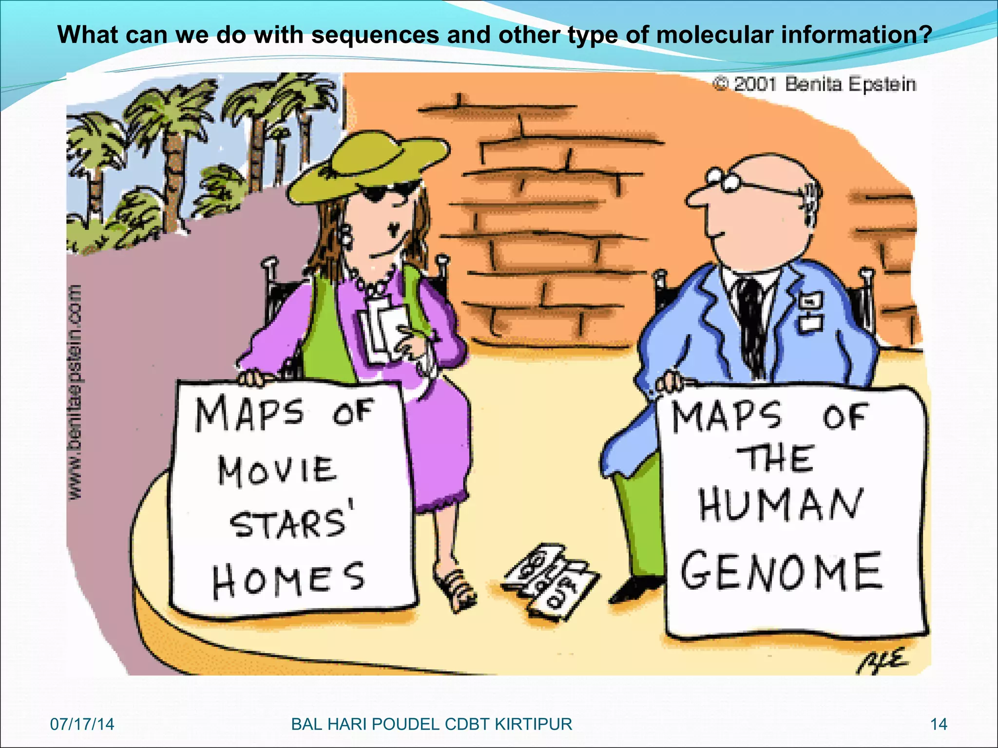 14
What can we do with sequences and other type of molecular information?
07/17/14 BAL HARI POUDEL CDBT KIRTIPUR
 