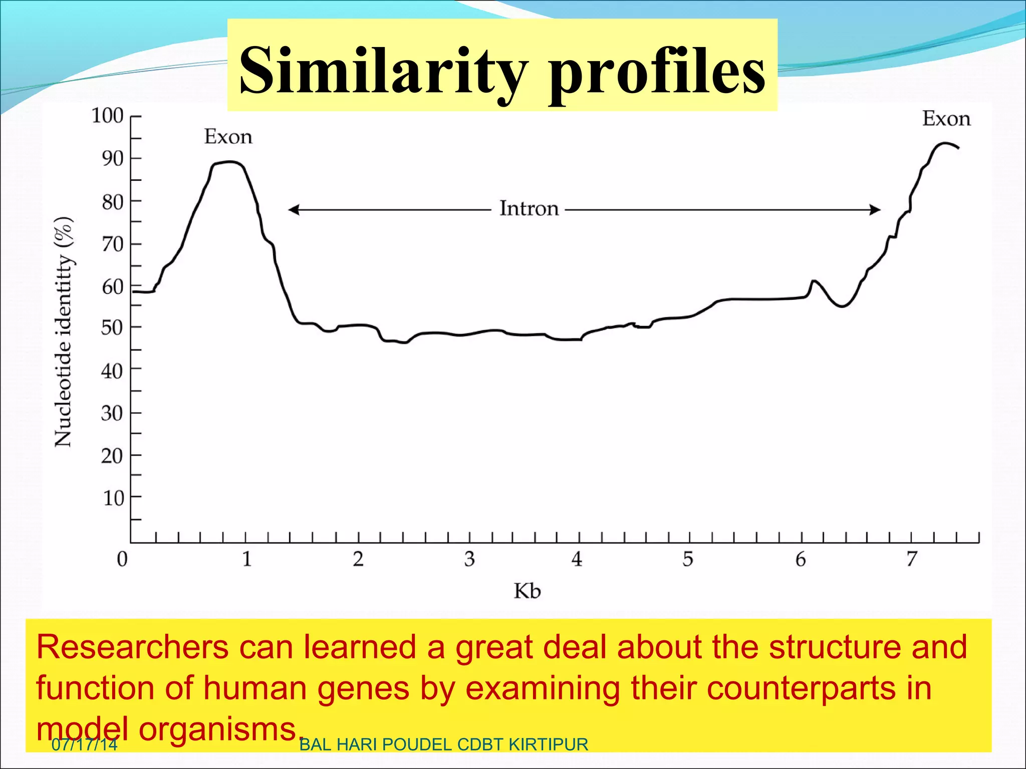 19
Similarity profiles
Researchers can learned a great deal about the structure and
function of human genes by examining their counterparts in
model organisms.07/17/14 BAL HARI POUDEL CDBT KIRTIPUR
 