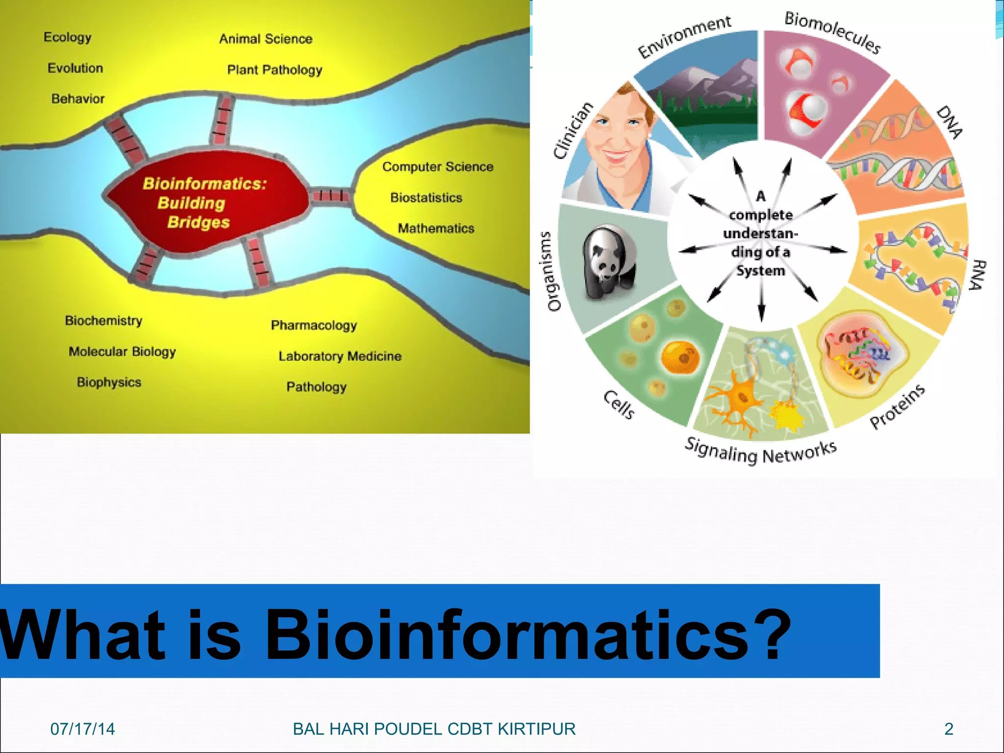 2
What is Bioinformatics?
07/17/14 BAL HARI POUDEL CDBT KIRTIPUR
 