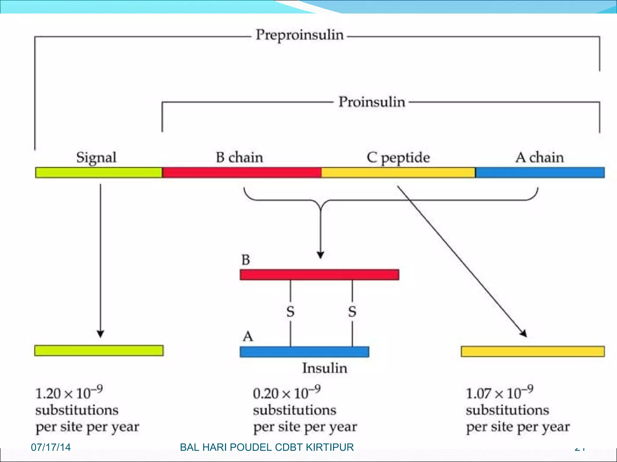 2107/17/14 BAL HARI POUDEL CDBT KIRTIPUR
 