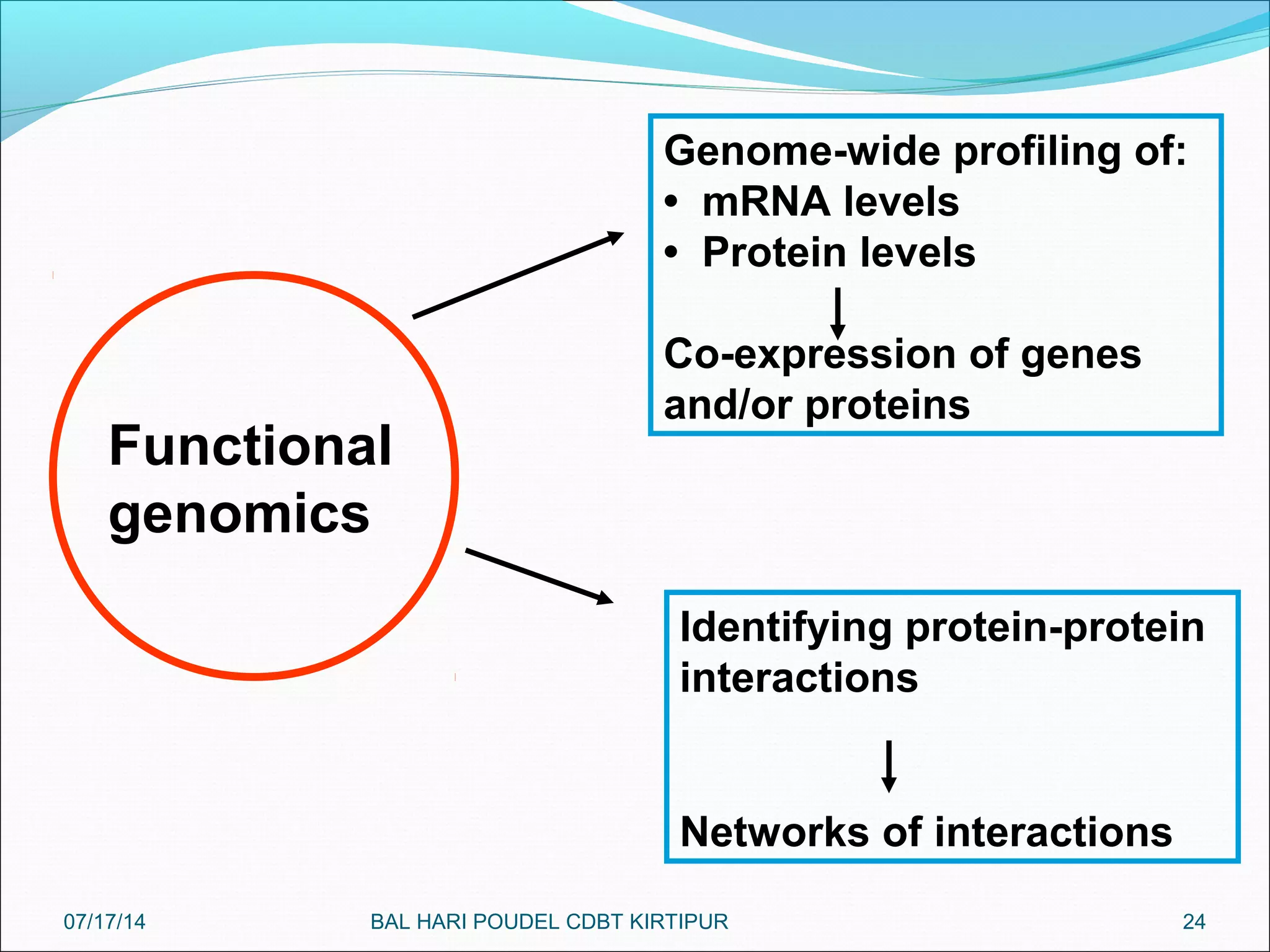 24
Functional
genomics
Genome-wide profiling of:
• mRNA levels
• Protein levels
Co-expression of genes
and/or proteins
Identifying protein-protein
interactions
Networks of interactions
07/17/14 BAL HARI POUDEL CDBT KIRTIPUR
 
