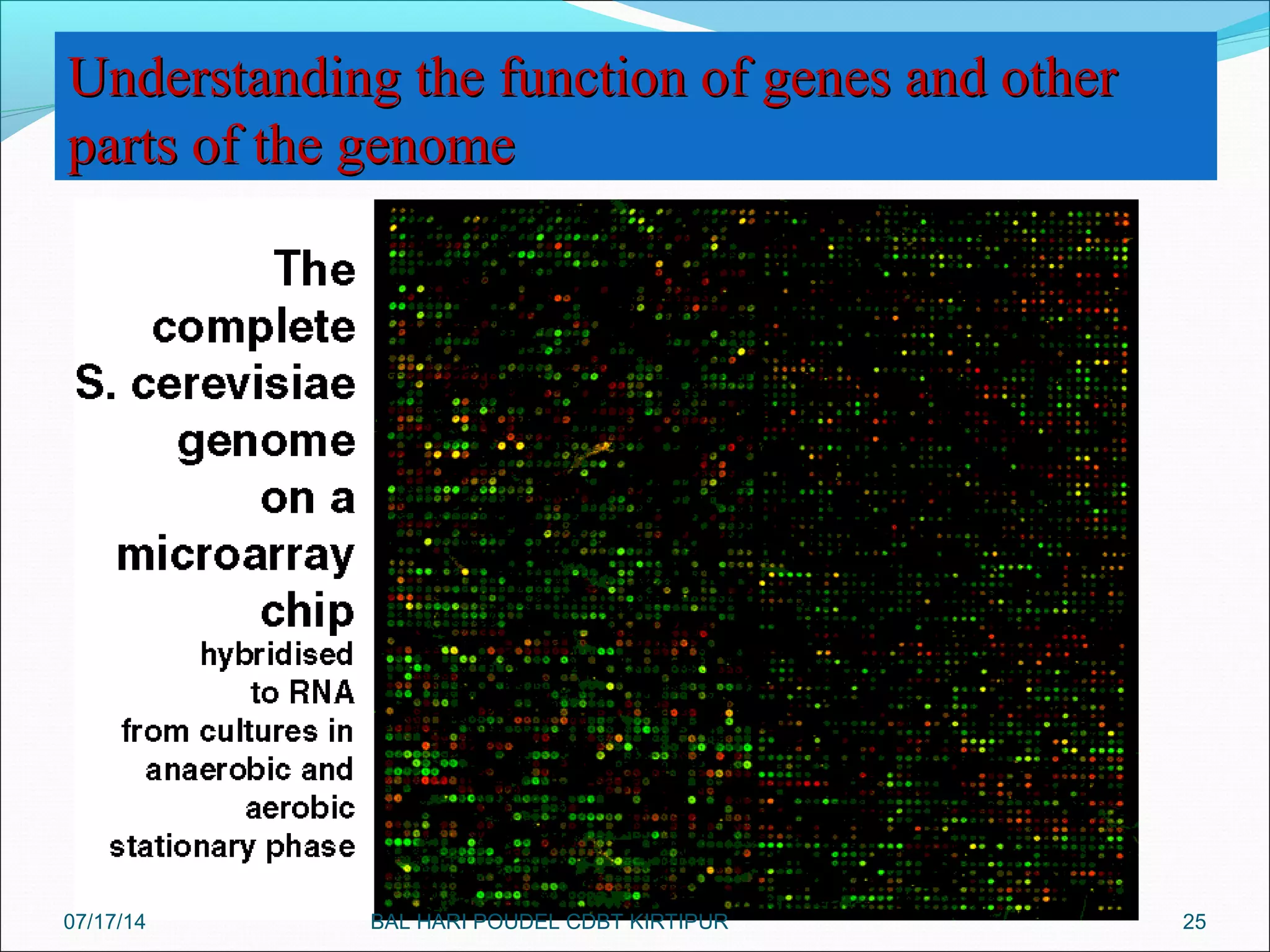 25
Understanding the function of genes and otherUnderstanding the function of genes and other
parts of the genomeparts of the genome
07/17/14 BAL HARI POUDEL CDBT KIRTIPUR
 
