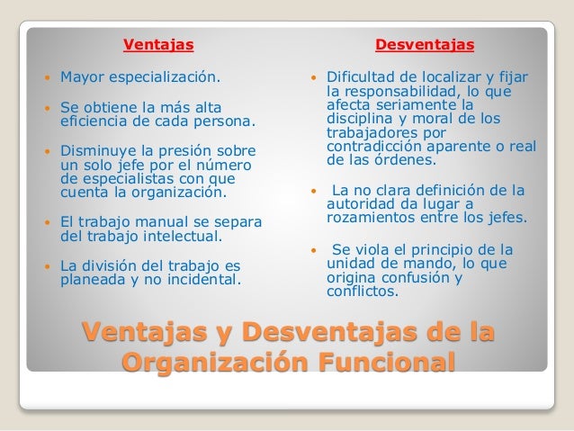 Tipos de organizacion
