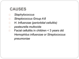 CAUSES
Staphylococcus
Streptococcus Group A β
H. Influenzae (periorbital cellulitis)
pasteurella multocida
Facial cellulitis in children < 3 years old
Hemophilus influenzae or Streptococcus
pneumoniae
 
