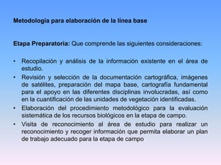 Metodología para elaboración de la línea base
Etapa Preparatoria: Que comprende las siguientes consideraciones:
• Recopilación y análisis de la información existente en el área de
estudio.
• Revisión y selección de la documentación cartográfica, imágenes
de satélites, preparación del mapa base, cartografía fundamental
para el apoyo en las diferentes disciplinas involucradas, así como
en la cuantificación de las unidades de vegetación identificadas.
• Elaboración del procedimiento metodológico para la evaluación
sistemática de los recursos biológicos en la etapa de campo.
• Visita de reconocimiento al área de estudio para realizar un
reconocimiento y recoger información que permita elaborar un plan
de trabajo adecuado para la etapa de campo
 