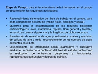 Etapa de Campo: para el levantamiento de la información en el campo
se desarrollaron las siguientes actividades:
• Reconocimiento sistemático del área de trabajo en el campo, para
cada componente del estudio (medio físico, biológico y social).
• Muestreo para la caracterización de los recursos biológicos
(hidrobiológicos, aves, mamíferos, reptiles, flora general y forestal)
tomando en cuenta el potencial y la fragilidad de dichos recursos.
• Recolección de muestras de agua y sedimentos, suelos y medición
de calidad de aire y ruido, reconocimiento de los cuerpos de agua
existentes en el Lote.
• Levantamiento de información social cuantitativa y cualitativa
mediante un censo de la población del área de estudio; tanto como
la realización de entrevistas personales a funcionarios,
representantes comunales y líderes de opinión.
 