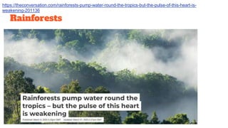 Rainforests
https://theconversation.com/rainforests-pump-water-round-the-tropics-but-the-pulse-of-this-heart-is-
weakening-201136
 