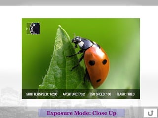 Exposure Mode: Close Up 
 