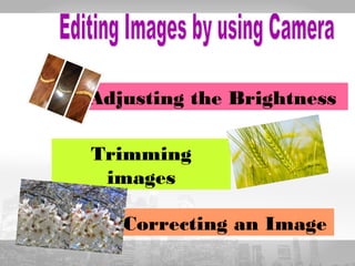 Adjusting the Brightness 
Trimming 
images 
Correcting an Image 
 