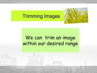 Trimming Images 
We can trim an image 
within our desired range 
 