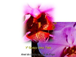 Y’ Guaçu Jaxy TataY’ Guaçu Jaxy Tata
Anel do Lábio da Lua de FogoAnel do Lábio da Lua de Fogo
 