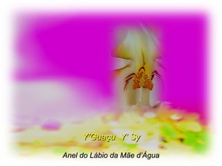 Y’Guaçu Y’ SyY’Guaçu Y’ Sy
Anel do Lábio da Mãe d’ÁguaAnel do Lábio da Mãe d’Água
 