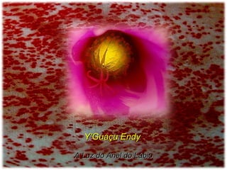 Y’Guaçu EndyY’Guaçu Endy
A Luz do Anel do LábioA Luz do Anel do Lábio
 