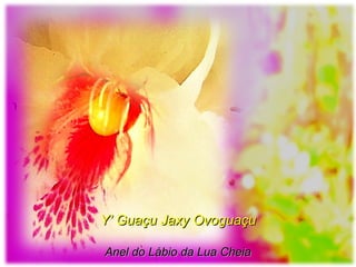 Y’ Guaçu Jaxy OvoguaçuY’ Guaçu Jaxy Ovoguaçu
Anel do Lábio da Lua CheiaAnel do Lábio da Lua Cheia
 