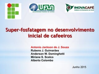 Super-fosfatagem no desenvolvimento
inicial de cafeeiros
Junho 2015
Antonio Jackson de J. Souza
Rubens J. Guimarães
Anderson W. Dominghetti
Miriane S. Scalco
Alberto Colombo
 