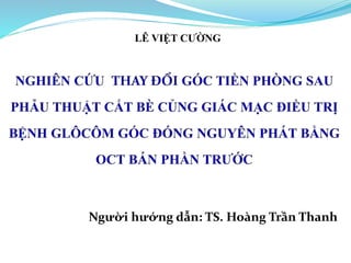 Người hướng dẫn: TS. Hoàng Trần Thanh
LÊ VIỆT CƯỜNG
 