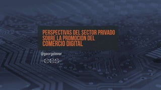 Perspectivas del sector privado sobre la promoción del  Comercio Digital