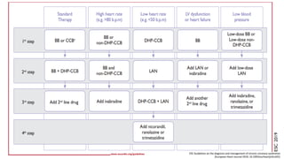 [YhocData.com] ESC 2019 HCVM PDF.pdf