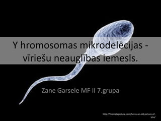 Y hromosomas mikrodelēcijas vīriešu neauglības iemesls.
Zane Garsele MF II 7.grupa

http://themetapicture.com/heres-an-old-picture-ofyou/

 