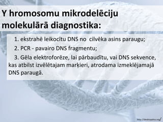 Y hromosomu mikrodelēciju
molekulārā diagnostika:
1. ekstrahē leikocītu DNS no cilvēka asins paraugu;
2. PCR - pavairo DNS fragmentu;
3. Gēla elektroforēze, lai pārbaudītu, vai DNS sekvence,
kas atbilst izvēlētajam marķieri, atrodama izmeklējamajā
DNS paraugā.

http://desktopdna.org

/

 