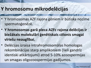 Y hromosomu mikrodelēcijas
• Y hromosomas AZF rajona gēniem ir būtiska nozīme
spermatoģenēzē.
• Y hromosomas garā pleca AZFc rajona delēcijas ir
biežākais molekulāri ģenētiskais cēlonis smagai
vīriešu neauglībai.
• Delēcijas izraisa intrahromosomālas homologas
rekombinācijas starp amplikoniem (lieli gandrīz
identiski atkārtojumi) atrod 5-10% azoospermijas
un smagas oligozoospermijas gadījumos.
http://desktopdna.org

/

 