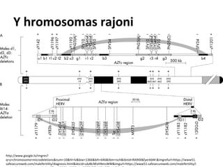 Y hromosomas rajoni

http://www.google.lv/imgres?
q=y+chromosome+microdeletions&num=10&hl=lv&biw=1366&bih=646&tbm=isch&tbnid=RA9I0iBZyerkbM:&imgrefurl=https://www51.
safesecureweb.com/malefertility/diagnosis.html&docid=ubJBLNEehNmsWM&imgurl=https://www51.safesecureweb.com/malefertility/i

 