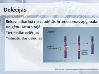 Delēcijas
Sekas: atkarībā no zaudētās hromosomas apgabala
un gēnu satura tajā.
*terminālas delēcijas
*intersticiālas delēcijas

http://ghr.nlm.nih.gov/handbook/illustrations/chromosomaldeletion

 