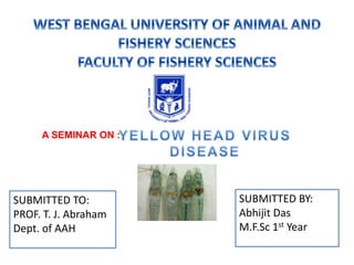 A SEMINAR ON :
SUBMITTED TO:
PROF. T. J. Abraham
Dept. of AAH
SUBMITTED BY:
Abhijit Das
M.F.Sc 1st Year
 