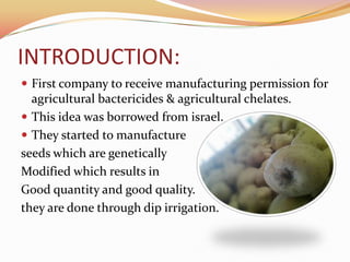 INTRODUCTION:
 First company to receive manufacturing permission for
  agricultural bactericides & agricultural chelates.
 This idea was borrowed from israel.
 They started to manufacture
seeds which are genetically
Modified which results in
Good quantity and good quality.
they are done through dip irrigation.
 