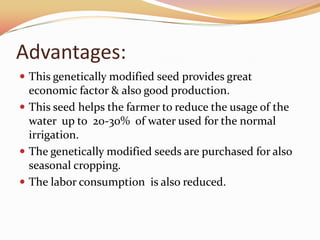 Advantages:
 This genetically modified seed provides great
  economic factor & also good production.
 This seed helps the farmer to reduce the usage of the
  water up to 20-30% of water used for the normal
  irrigation.
 The genetically modified seeds are purchased for also
  seasonal cropping.
 The labor consumption is also reduced.
 