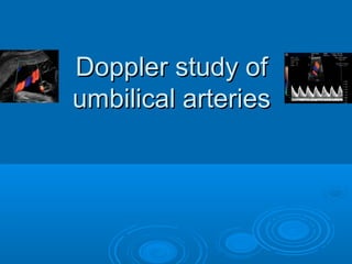 Doppler study of
umbilical arteries
 
