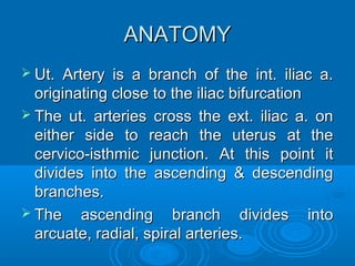 ANATOMY
 Ut. Artery is a branch of the int. iliac a.
originating close to the iliac bifurcation
 The ut. arteries cross the ext. iliac a. on
either side to reach the uterus at the
cervico-isthmic junction. At this point it
divides into the ascending & descending
branches.
 The ascending branch divides into
arcuate, radial, spiral arteries.
 