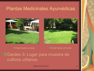 Plantas Medicinales Ayurvédicas Garden 3: Lugar para muestra de cultivos urbanos.  Vista hacia la casa Vista hacia el fondo 