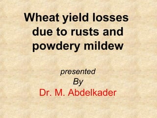 Wheat yield losses
 due to rusts and
 powdery mildew

      presented
         By
  Dr. M. Abdelkader
 