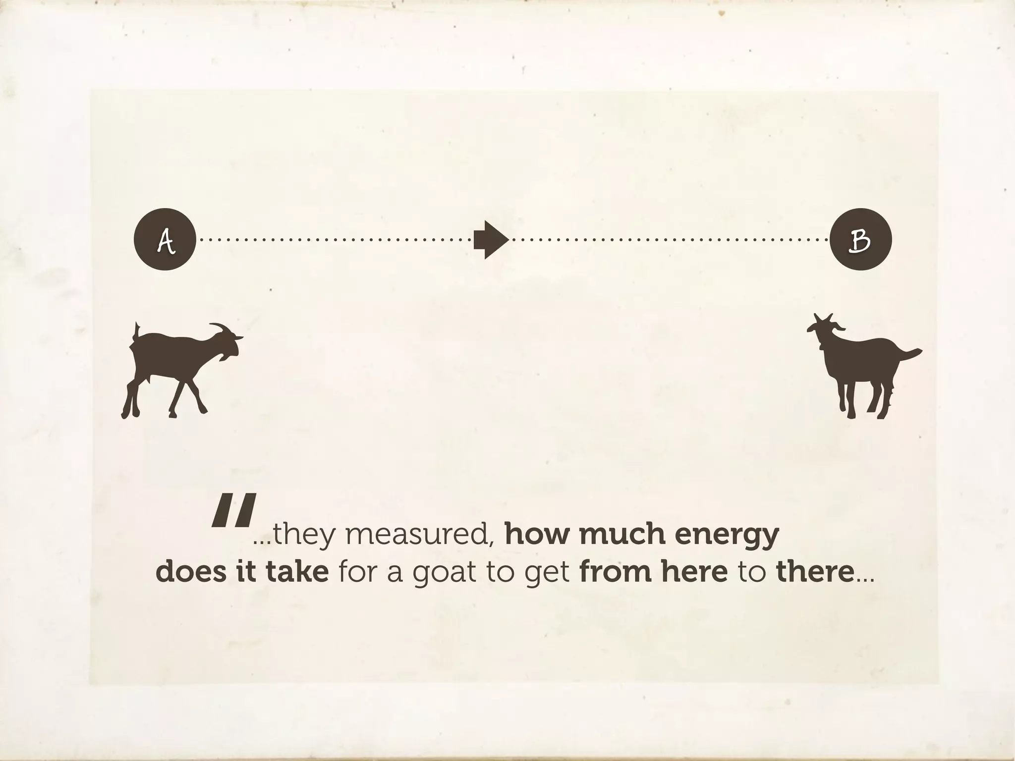 A                                                 B




    “  ...they measured, how much energy
does it take for a goat to get from here to there...
 