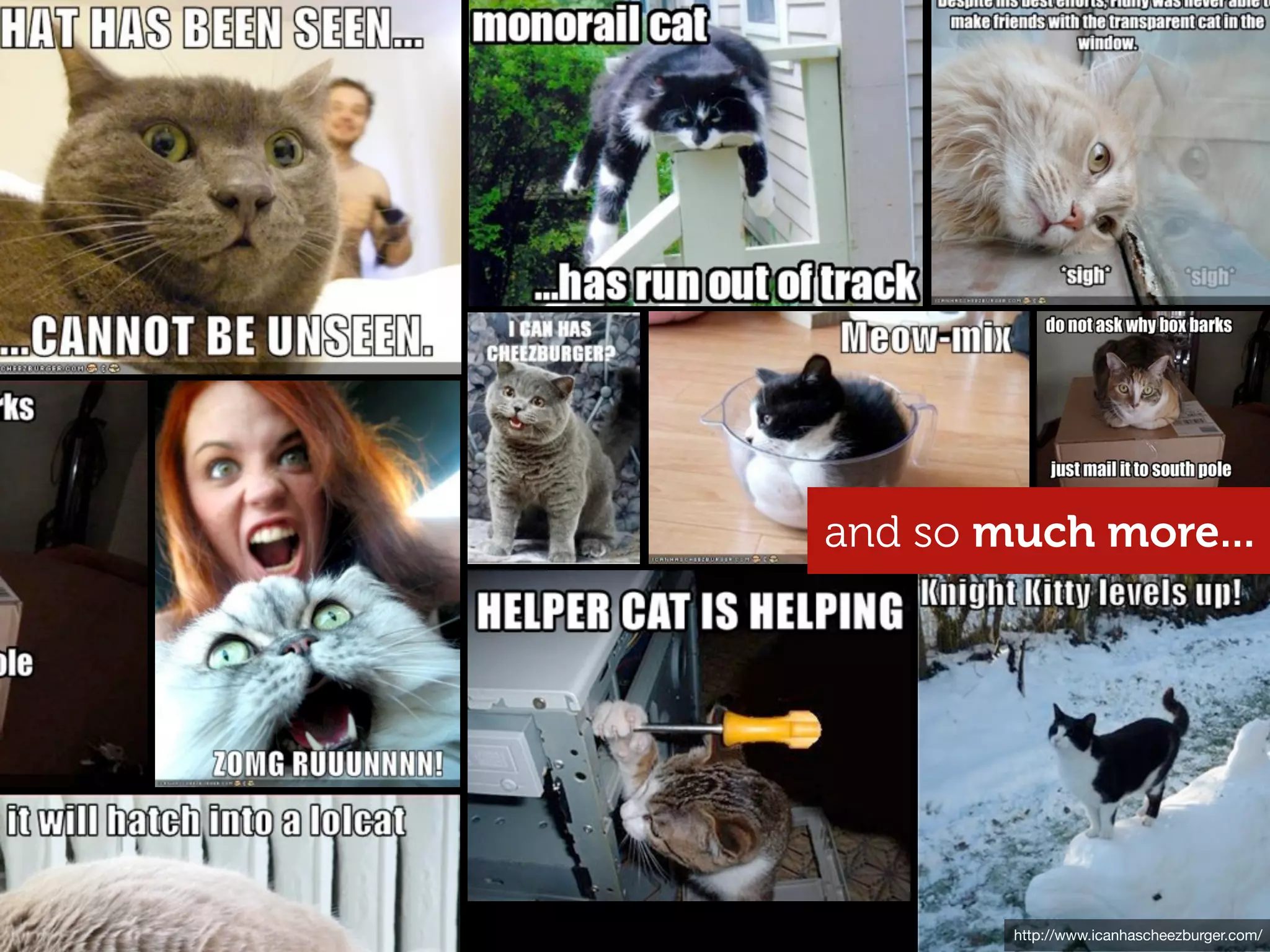 and so
and so much more...




        http://www.icanhascheezburger.com/
 